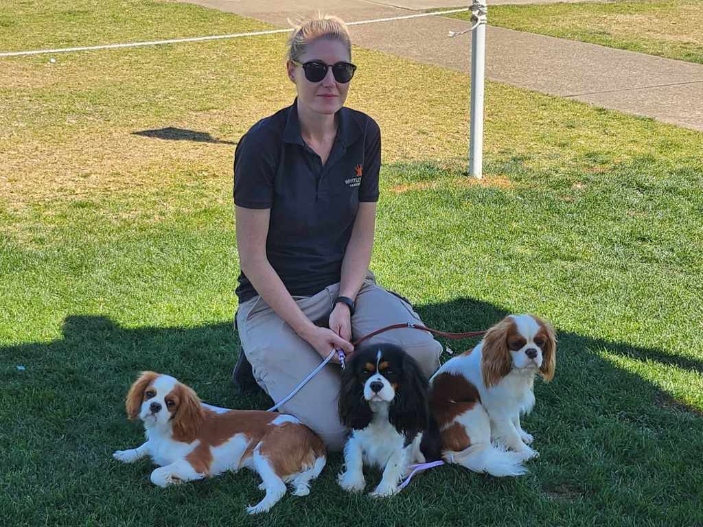 This image has an empty alt attribute; its file name is 6fuxjmxr-1.jpg